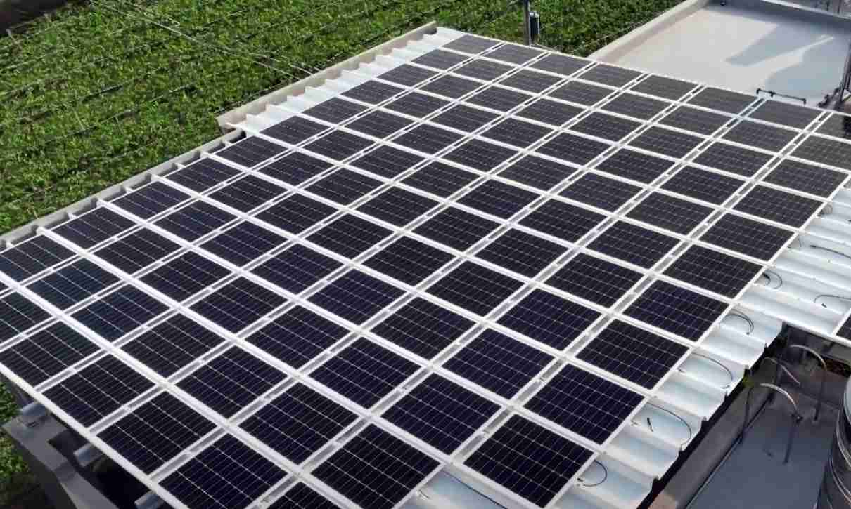 蓝狮在线SunSteel光电浪板升级双玻结构，，以提升机械负载强度及气候耐候度，，，可广泛运用于多元场域